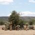 Four British soldiers taken to hospital in Kenya with COVID-19