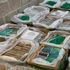 Cocaine worth £184m found hidden in banana shipment