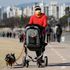 Cats and dogs to get free COVID tests in South Korea