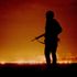 Gulf War syndrome 'likely caused by nerve gas' not depleted uranium, study finds
