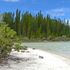 Tsunami watch for New Zealand and Fiji after large undersea quake