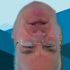 'You're upside-down Tom': US politician floats wrong way up in video call mishap