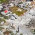 Three people rescued after surviving on island for 33 days by eating coconuts and rats