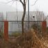 WHO backtracks on dismissing Wuhan lab theory as COVID-19 probe continues
