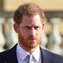 Prince Harry appointed as commissioner to tackle misinformation in the media