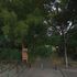 Body found in woods in search for missing Amy Springer