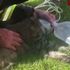 Firefighter uses CPR to resuscitate cat after blaze in Italian garage