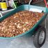 90,000 greasy pennies dumped on man’s drive as final payment after quitting his job