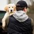 Police force appoints officer to investigate dog thefts