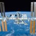 Three entirely new lifeforms discovered on space station