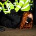 More than half of people support Met police handling of Sarah Everard vigil – survey