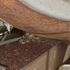 ‘Worst mice plague in decades’ hits New South Wales as hospital patients bitten