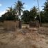 Children as young as 11 ‘being beheaded’ amid Islamist insurgency in Mozambique