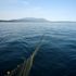Climate change could be slowed if oceans are protected, experts say