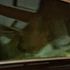 Prince Philip leaves King Edward VII’s Hospital
