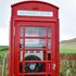 Thousands of phone boxes looking for new calling – as BT offers them for just £1 each