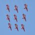 Red Arrows grounded after Hawk T1 jet crash – pilots are stable after first Navy ejection in 18 years