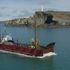 Whales are under significant threat from ship strikes. Could new technology save them?