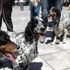 Greek dog owners protest against plans that would make sterilisation of pets mandatory