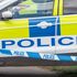 Girl, aged six, dies after being hit by car while walking with her father