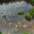 Britain’s dirty secret: Unknown toxic sites damaging the environment
