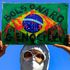 Bolsonaro in trouble as Brazil’s COVID crisis inquiry becomes box office viewing