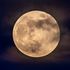 Strawberry supermoon: Last of night sky spectacles this year approaches