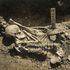 Man who died 3,000 years ago is earliest known shark attack victim