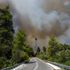 'Disaster movie' in Greece: Death and devastation as wildfires rage across the world