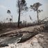 Johnson admits it’s ‘going to be a stretch’ to secure $100bn in climate pledges by COP26