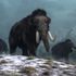Genetics project aims to ‘resurrect’ woolly mammoths within the next six years