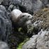 ‘It is disturbing’: Storm and sewage overflows among pollution devastating waterways