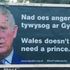 ‘Wales doesn’t need a prince’: Anti-monarchy billboards spark backlash