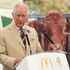 Prince’s Foundation chairman quits over claims of six-figure sum from Russian donor
