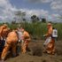 High hopes for Ebola vaccine after trial shows strong immune response