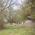 50 million new trees scheme boosted by £15m of funding from govt