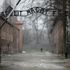 ‘An outrageous attack’: Anti-Semitic graffiti found at Auschwitz site