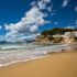 Swimmers banned at Spanish beaches after shark sighting