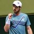 Andy Murray and LTA join online campaign to find ‘missing’ tennis star who accused top Chinese official of sexual assault