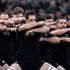 Maori ask anti-vaxxers to stop using haka