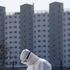 North Korean hackers detected searching for COVID vaccine manufacturing secrets