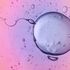 Study reveals effect of coronavirus infection on sperm