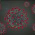 Omicron variant multiplies 70 times faster than Delta in human lungs, study finds
