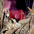 At least three dead and five missing as buildings collapse in Sicily gas explosion