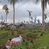 At least 146 people killed in strongest typhoon to hit Philippines this year