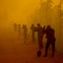 Wildfires break carbon emission records in US, Siberia, and Turkey, as climate change fans intense blazes, says EU