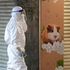 Hamster cull ordered after Hong Kong pet shop worker tests positive for COVID