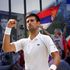 Djokovic vs Australia: What both sides say in the tennis star’s deportation legal battle